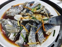 珍珠斑鱼-蔚海之都·象山蒸汽海鲜(仙霞路店)