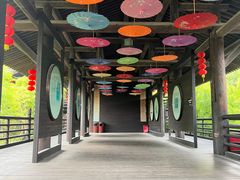 -大唐贡茶院