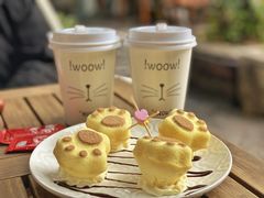 -喵屿·大理花园猫咖