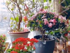 -云之南(八里庄店)