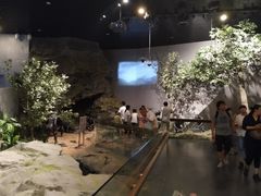 -北京周口店北京人遗址博物馆