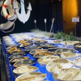 人均两百多，汉来海港自助餐厅 这自助可太好了