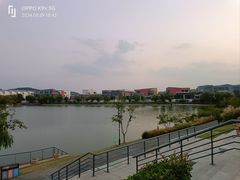 -羊山湖公园