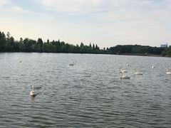 -艾溪湖湿地公园