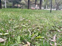 -北京市海淀外国语实验学校