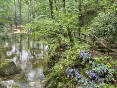 -牛背梁国家森林公园