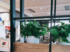 -肯德基(金马店)