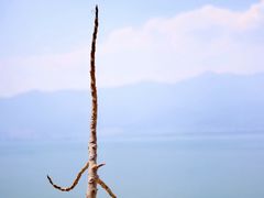 -大理洱海