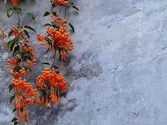 -乌山风景区