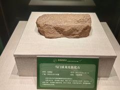 -珠海市博物馆