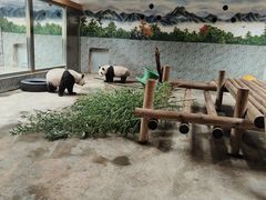 -西安秦岭野生动物园