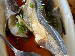 -蓝湾碧波·老字号·疍家非遗海上餐厅