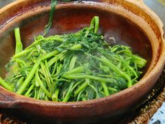 -熠盛粤味·顺德桑拿鸡(永康路店)