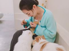 -More Fun猫咖 二十只万元加菲主题