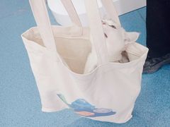 -创凡宠物医院·骨专科  猫科中心(西乡分院)