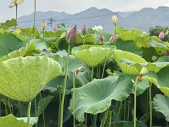 -德胜岩景区