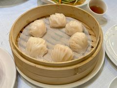 -金粤九号(李公堤店)