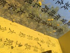 -千年银杏谷文化旅游区