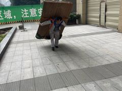 -蚂蚁搬家成都打包搬运公司