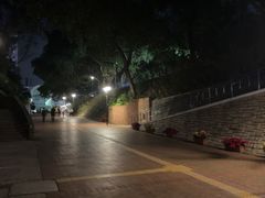 -九龙公园