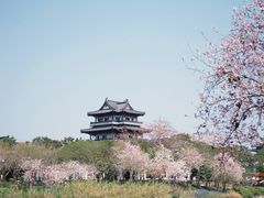 -海珠湖公园