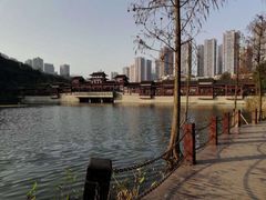 -重庆彩云湖湿地公园