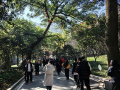 -灵顺寺