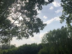 -大兴滨河森林公园