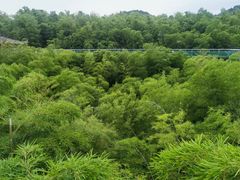 -陶祖圣境风景区