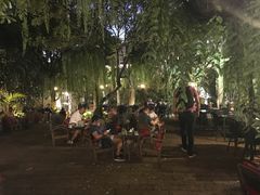 -Fern Forest Cafe