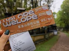 -紫金山山顶公园