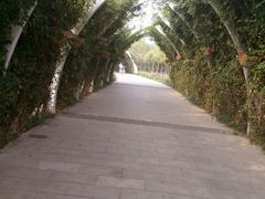 -天津东丽湖风景区