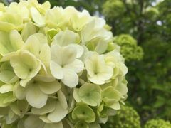 -上海滴水湖皇冠假日酒店