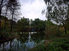 -上海海湾国家森林公园