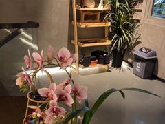 -施奈儿.洗头頭療.按摩SPA.采耳(上梅林店)