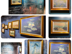 -遇见博物馆(遇见海洋沉浸式奇幻光影展)