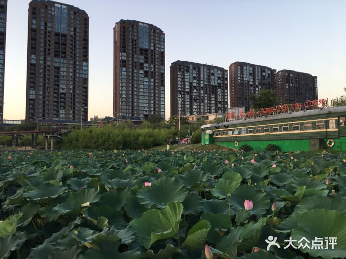 顾畔餐厅(浐灞店)图片