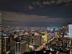 -新加坡瑞士史丹福酒店