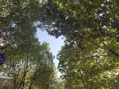 -梁子湖东篱老屋生态庄园