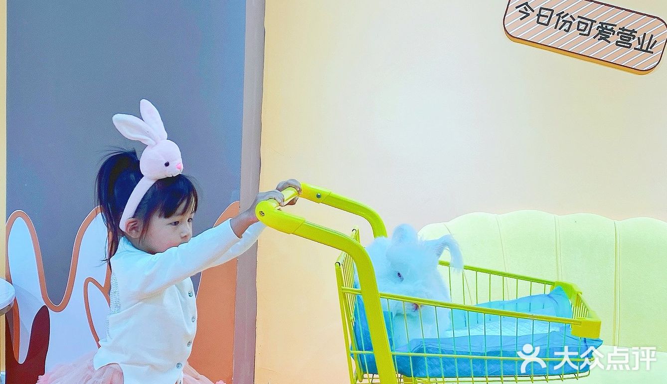 厦门探店 | 兔兔那么可爱，快来撸它！