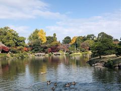 -水前寺成趣园