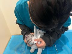 -美迦爱-牙专科·兔科·骨科诊疗中心(北苑店)