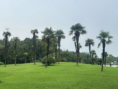 -新洲生态园