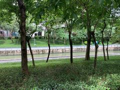-后襄河公园