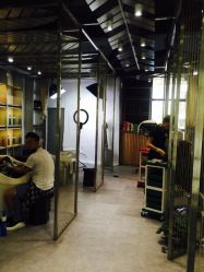 -MAGIC米几发型设计·羊毛卷