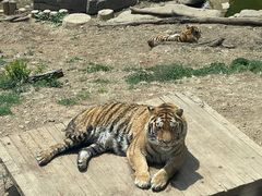 -大连森林动物园