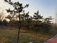 -东郊湿地公园