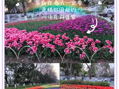 -玄武湖景区-情侣园游乐场