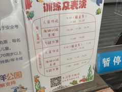 -芜湖新华联大白鲸海洋公园