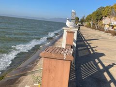 -呈贡滇池生态湿地公园